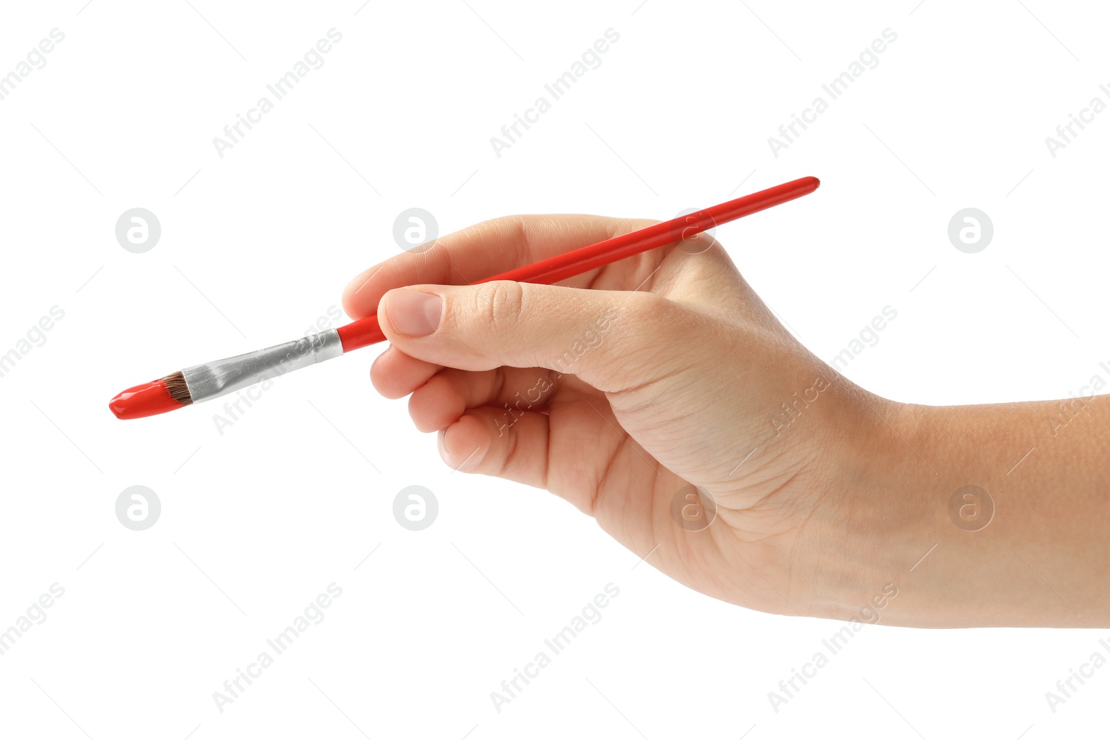 Photo of Young woman holding brush with color paint on white background, closeup