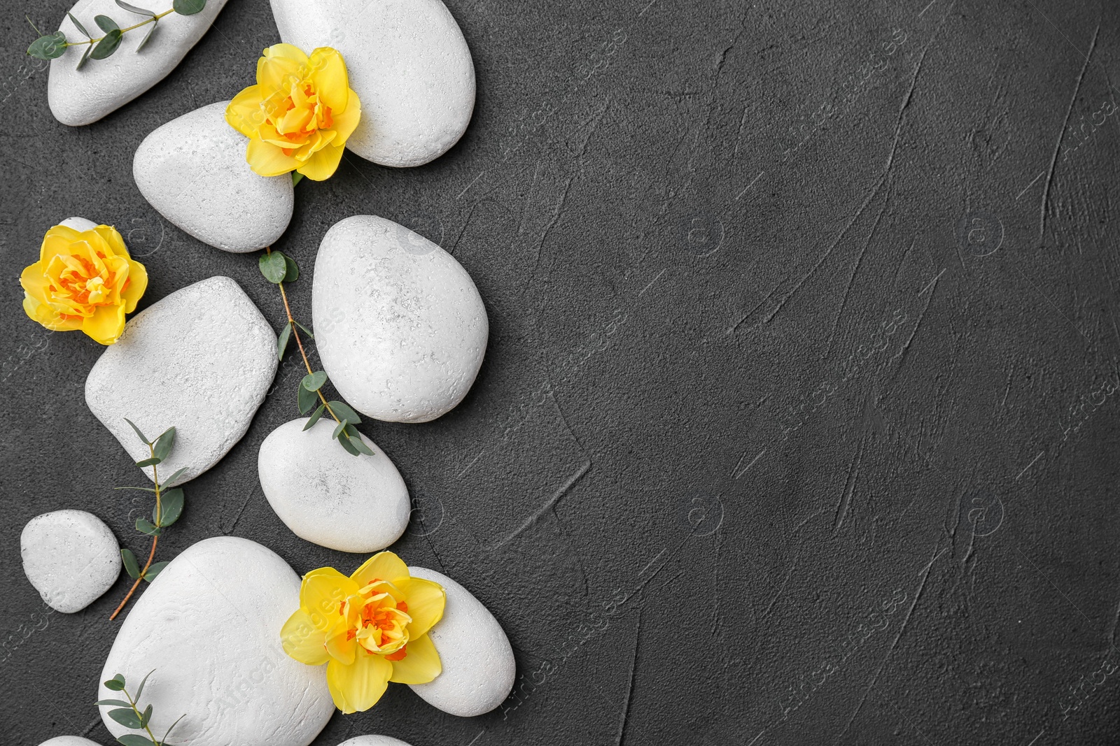 Photo of Spa stones and beautiful flowers on grey background