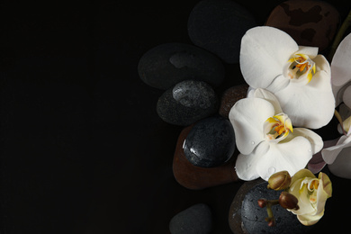 Photo of Stones and orchid flowers in water on black background, flat lay with space for text. Zen lifestyle
