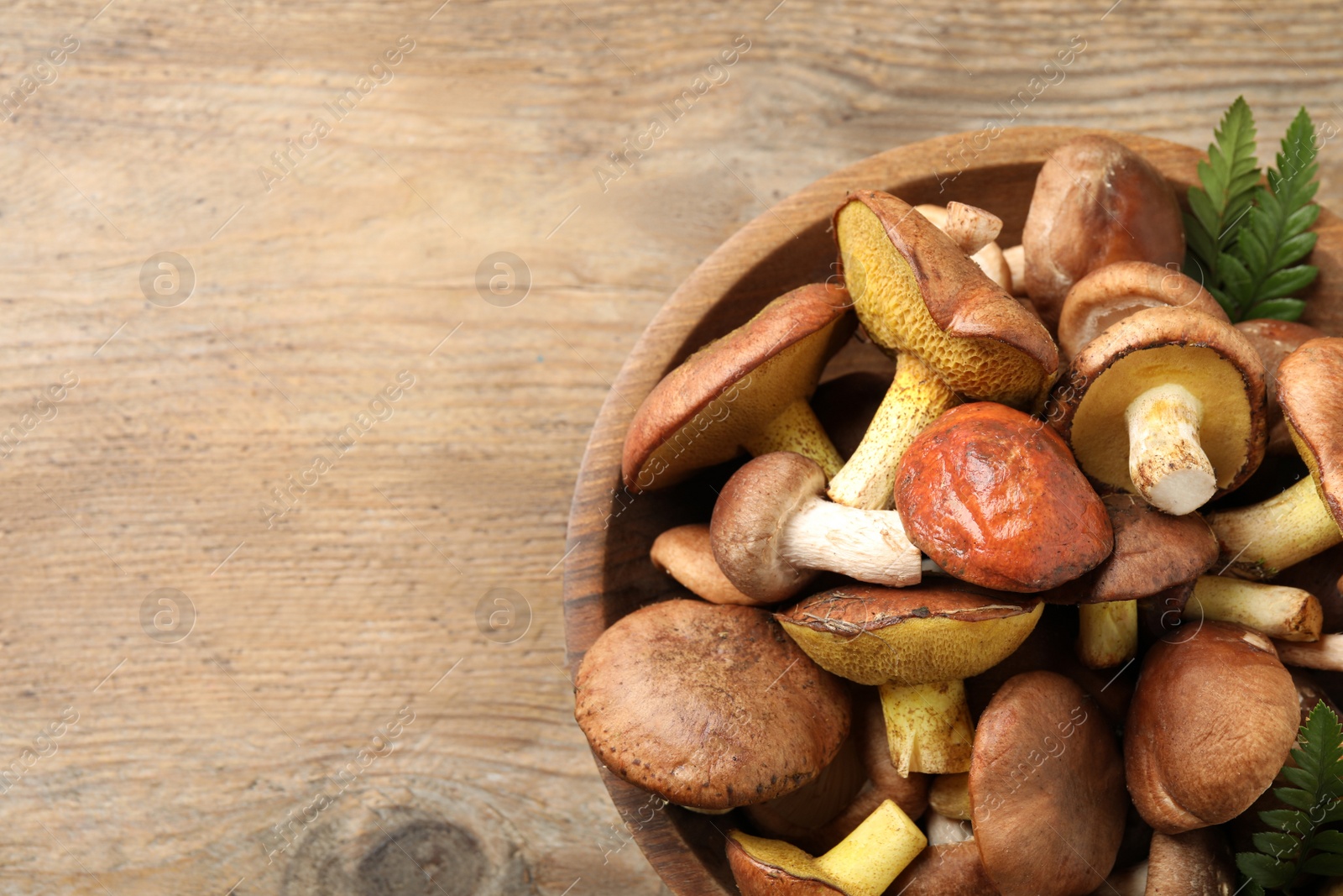 Photo of Bowl with different mushrooms on wooden table, top view. Space for text