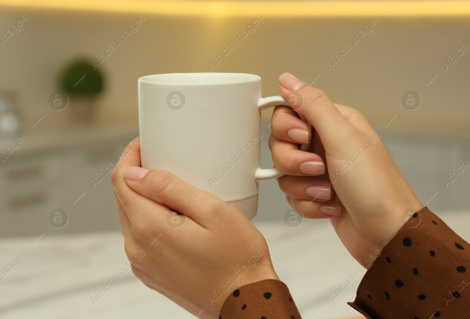 Photo of Woman holding elegant cup in kitchen, closeup