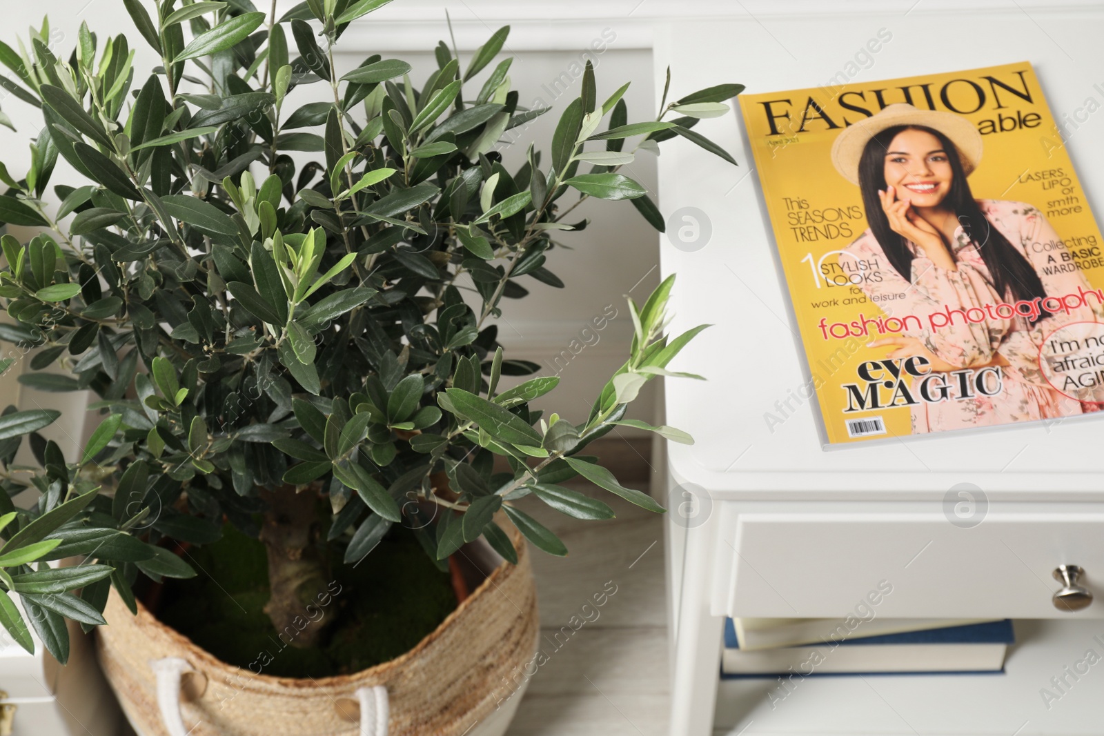 Photo of Beautiful young potted olive tree and table with magazine indoors. Interior elements