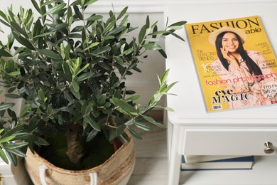 Beautiful young potted olive tree and table with magazine indoors. Interior elements