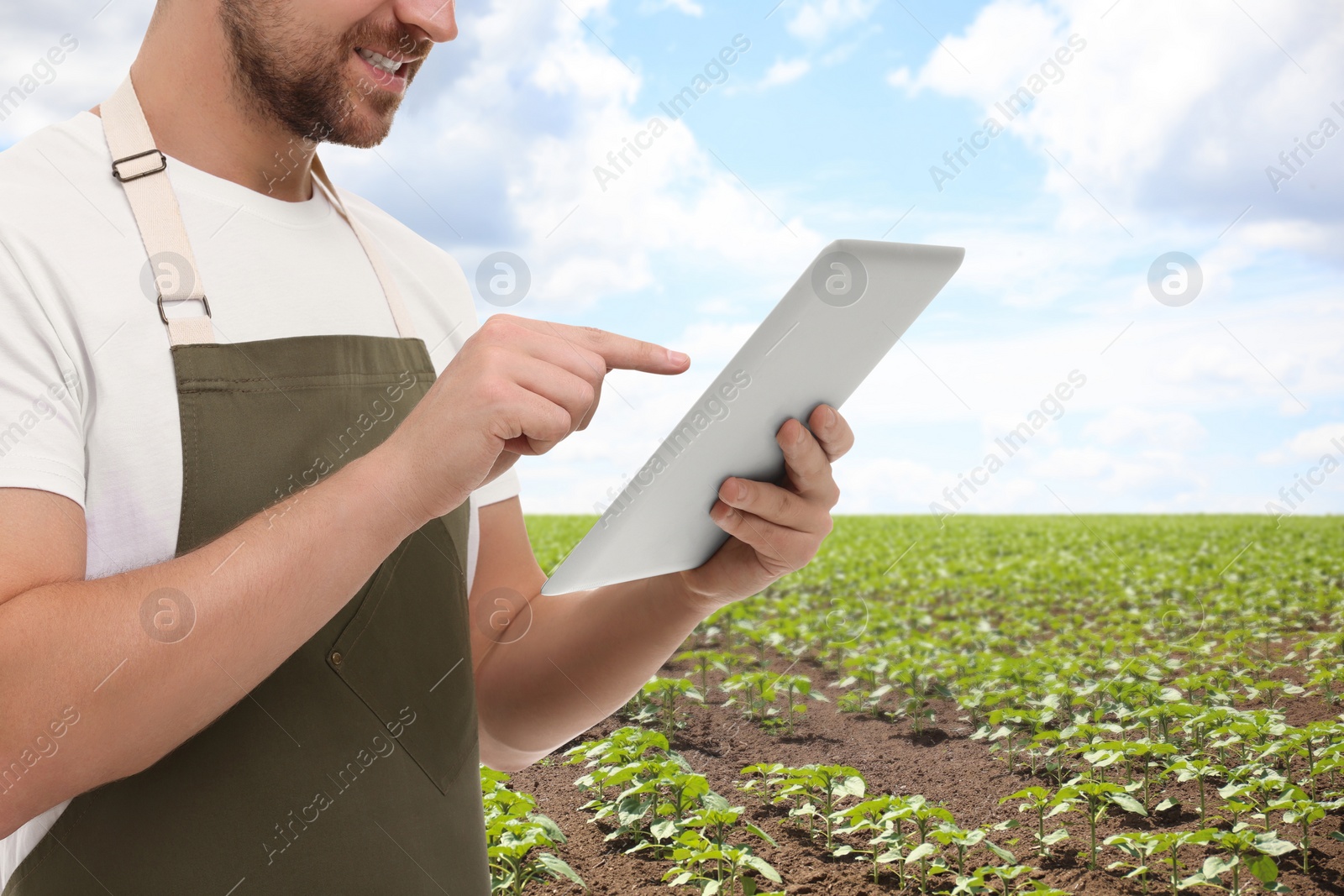 Image of Farmer with tablet computer in field, closeup. Harvesting season