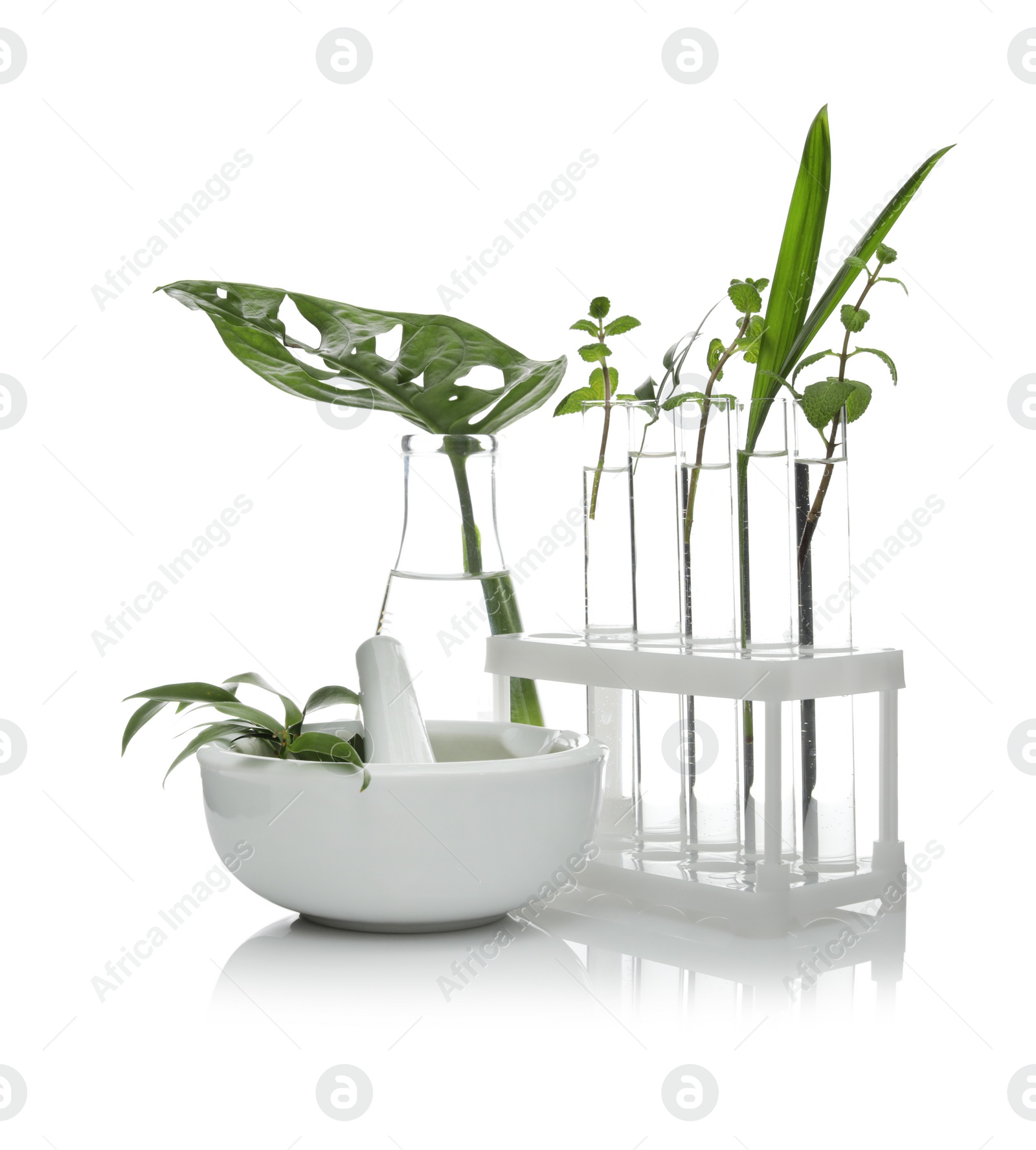 Photo of Lab glassware and mortar with plants isolated on white. Organic chemistry