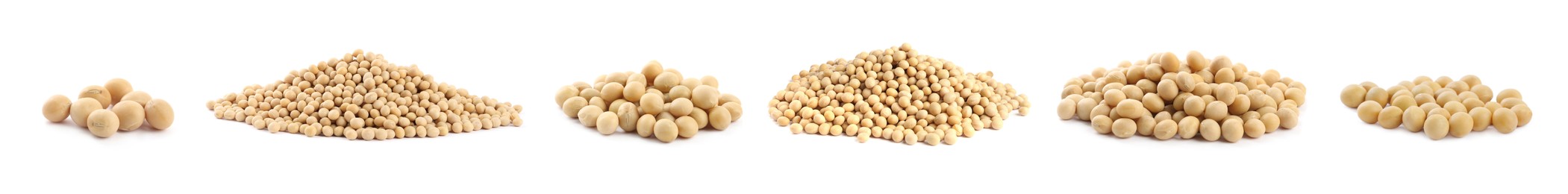 Set with soya beans on white background. Banner design 