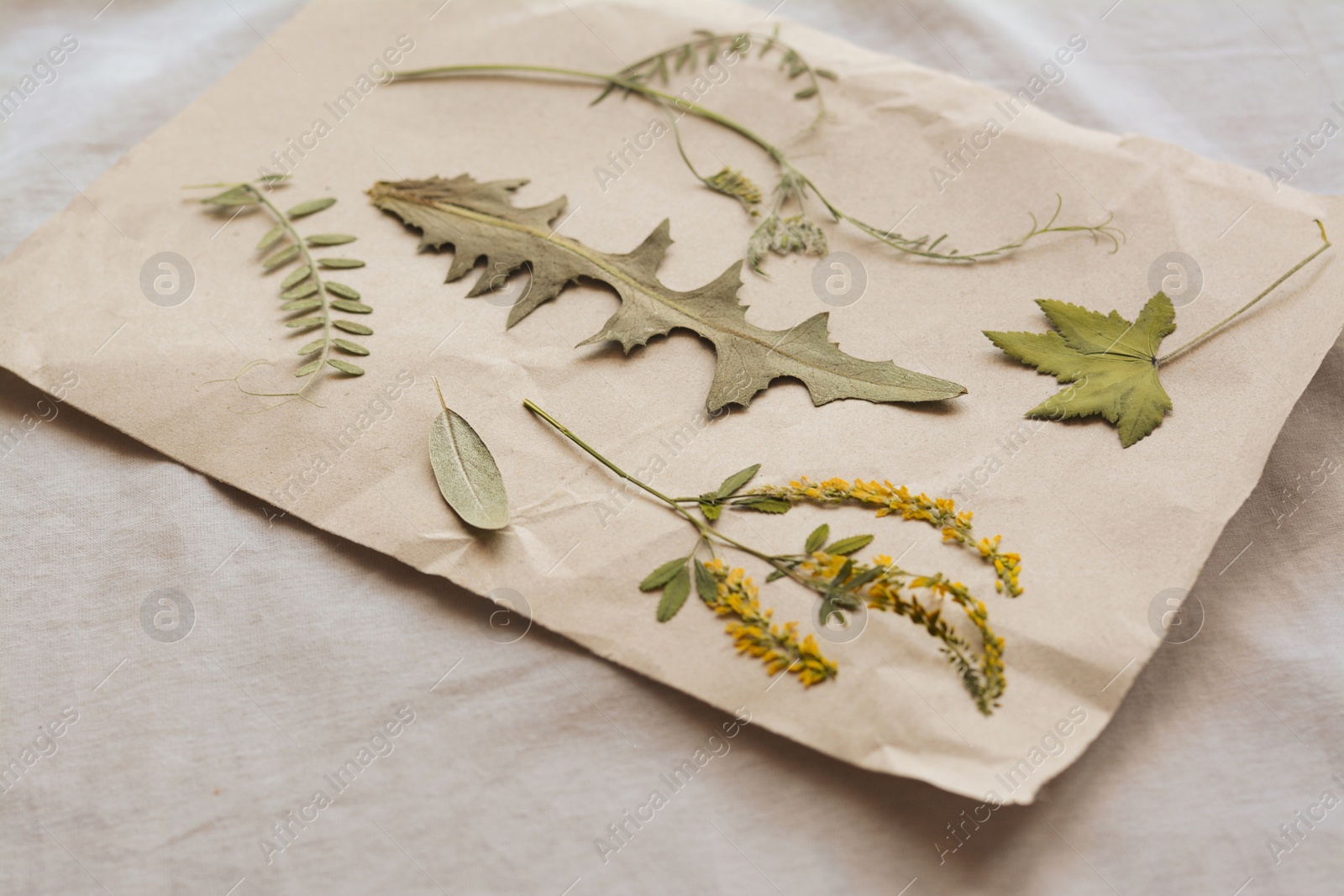 Photo of Sheet of paper with dried flowers and leaves on white fabric, closeup