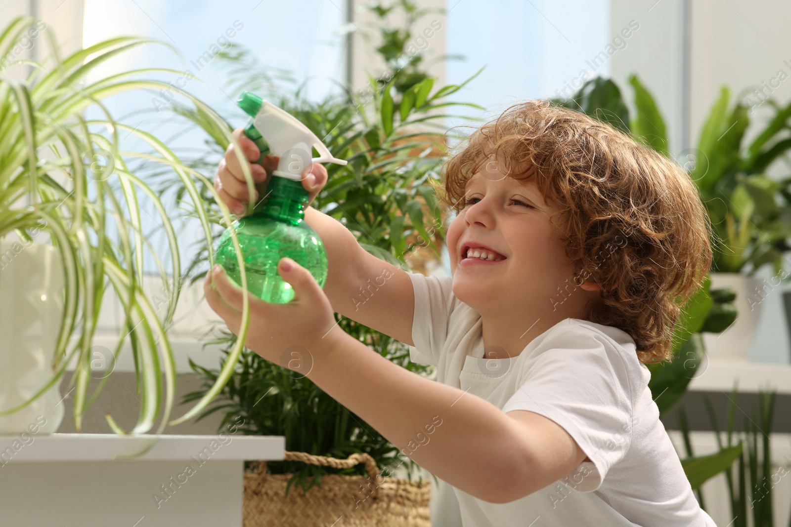 Photo of Cute little boy spraying beautiful green plant at home. House decor