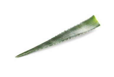 Photo of Green aloe vera leaf isolated on white, above view