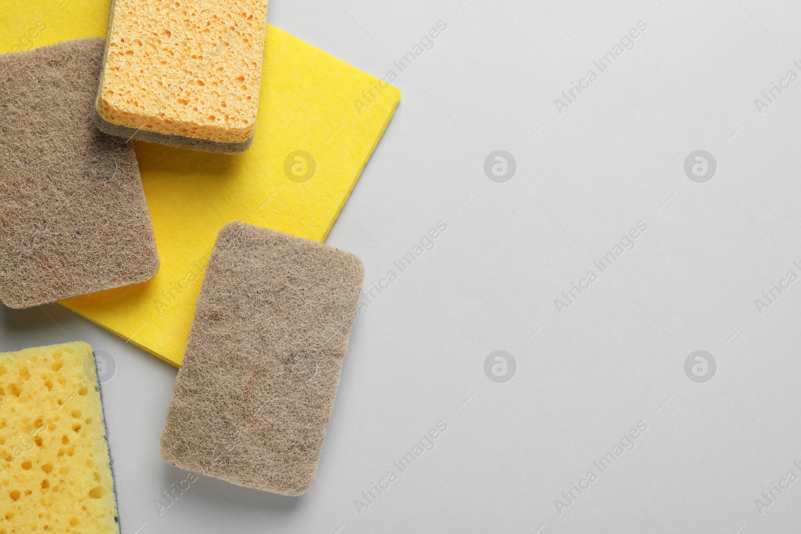 Photo of New sponges and rag on light grey background, flat lay. Space for text
