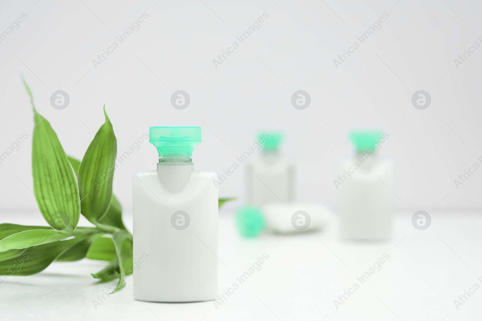 Photo of Mini bottle of cosmetic product and green branch on light background. Space for text