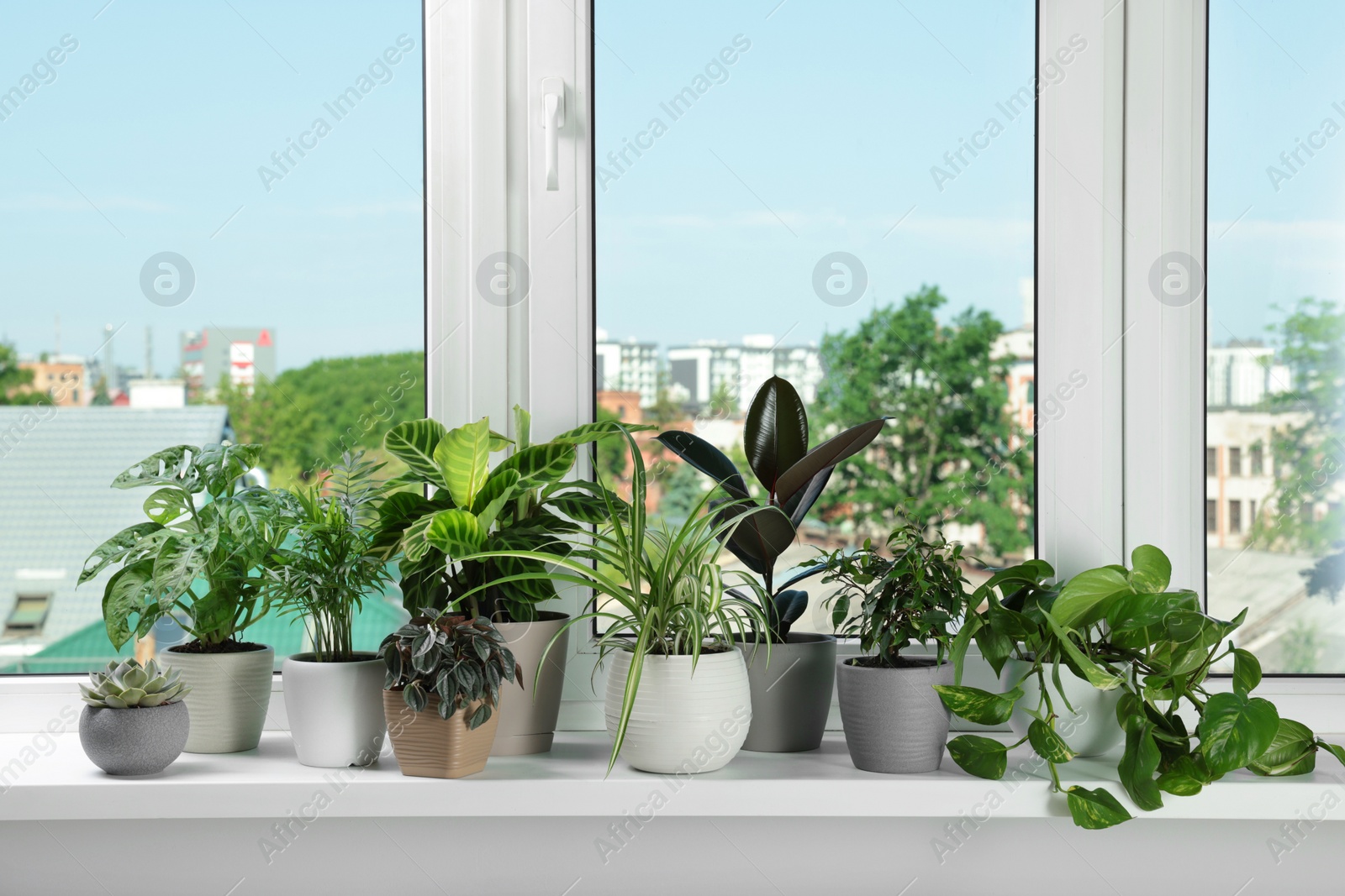 Photo of Different beautiful potted houseplants on window sill indoors