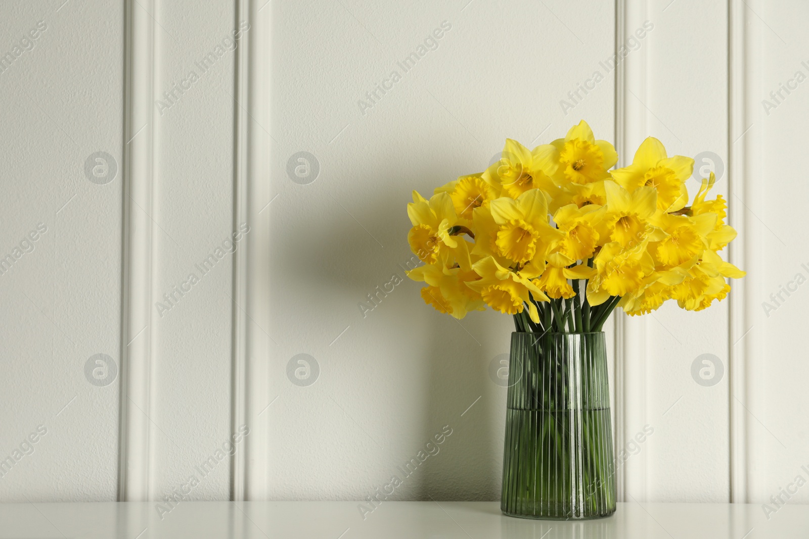 Photo of Beautiful daffodils in vase on table near white wall indoors, space for text