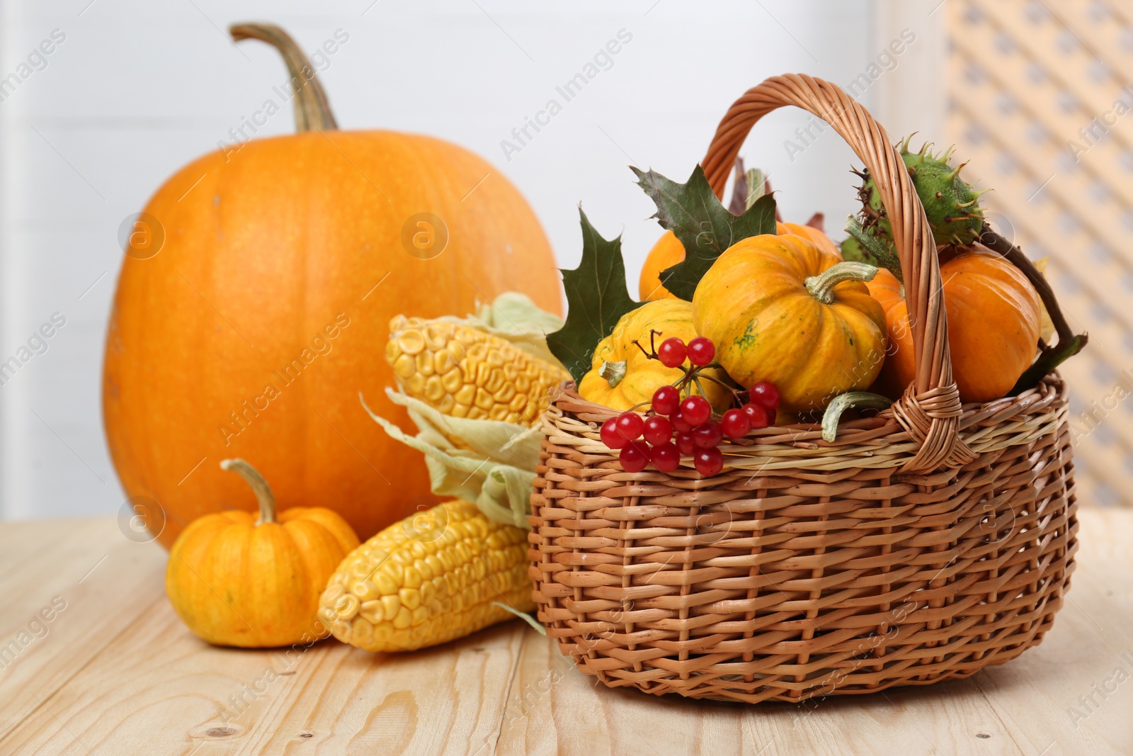 Photo of Happy Thanksgiving day. Composition with pumpkins, corn cobs and berries on wooden table, closeup