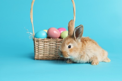 Photo of Adorable furry Easter bunny near wicker basket with dyed eggs on color background