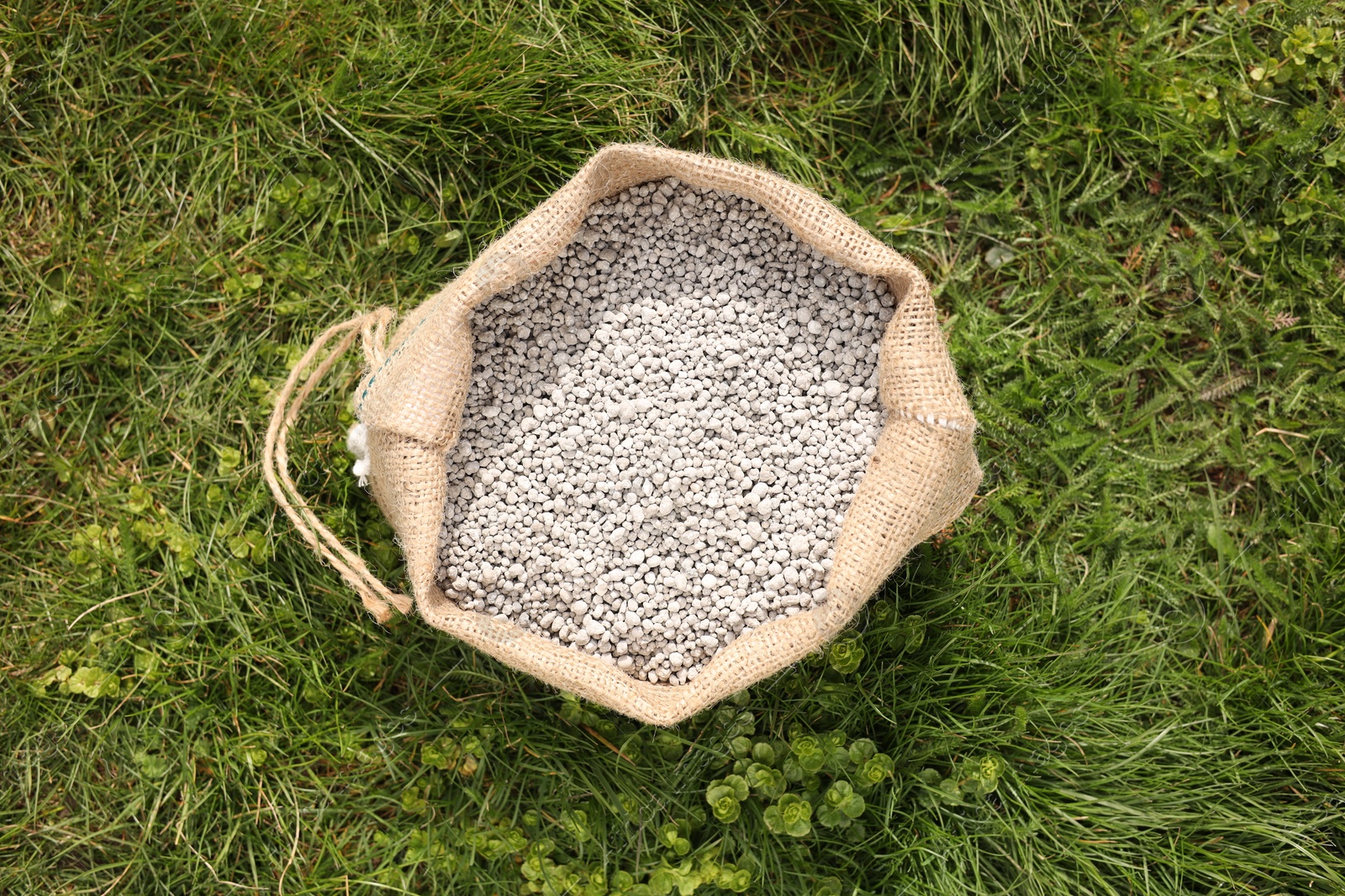 Photo of Fertilizer in bag on green grass outdoors, top view