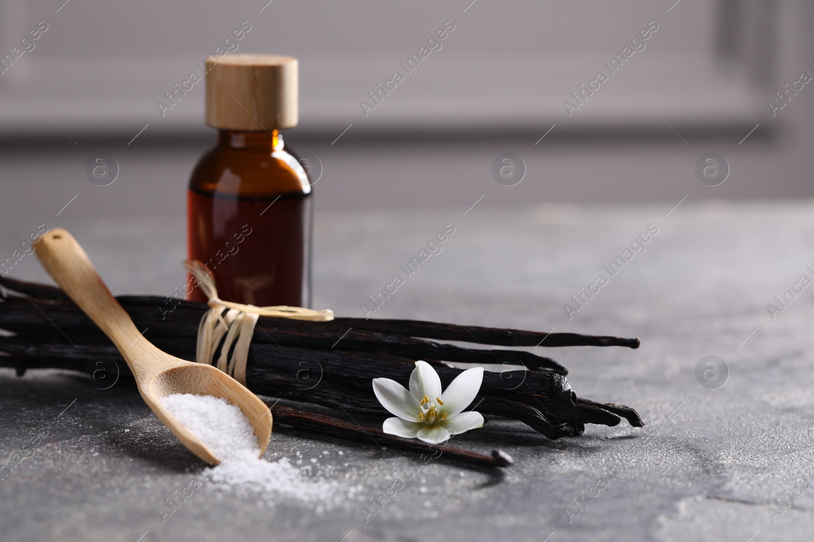 Photo of Spoon with sugar, flower, vanilla pods and bottle of essential oil on grey textured table, closeup. Space for text