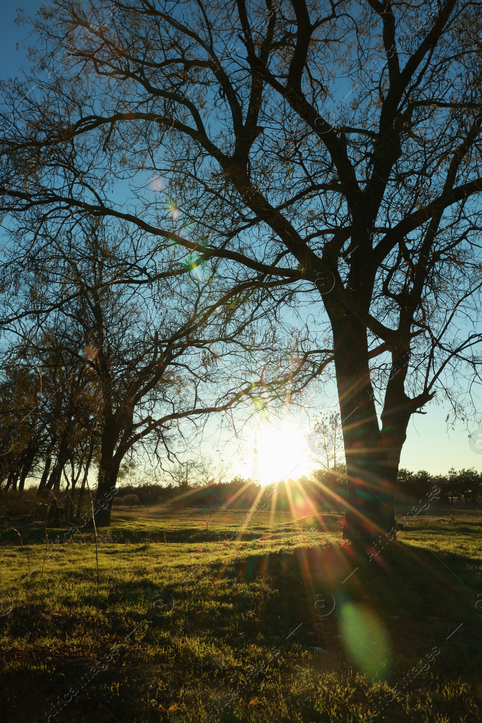 Photo of Picturesque view of beautiful countryside at sunset