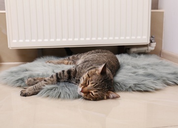 Cute tabby cat on faux fur rug near heating radiator indoors