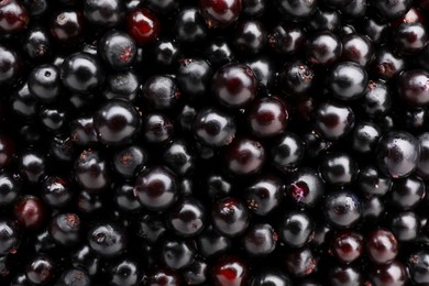 Black elderberries (Sambucus) as background, top view