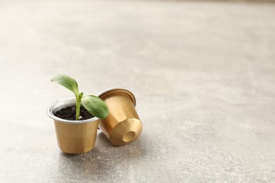 Coffee capsules and seedling on light grey table, space for text