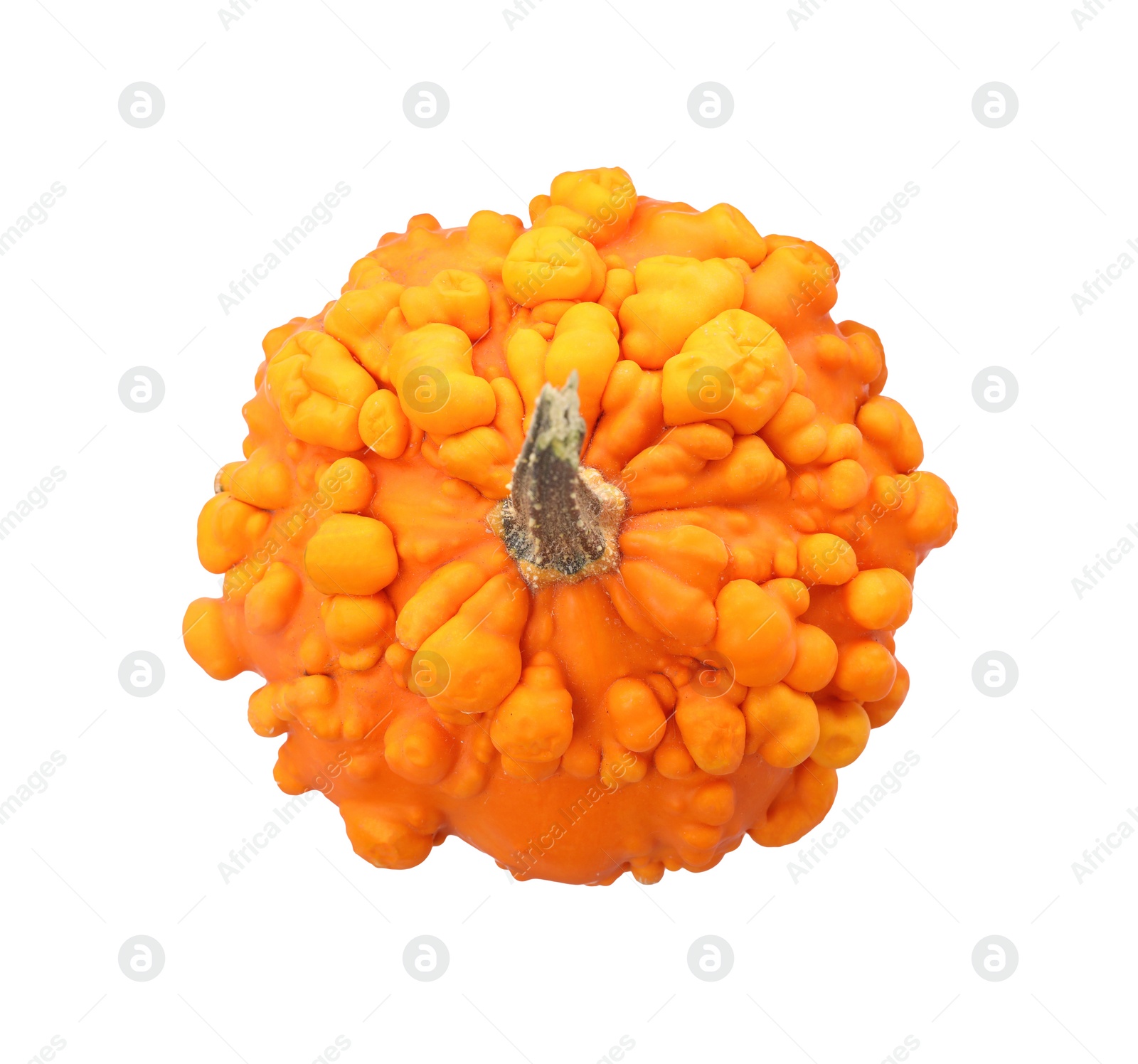 Photo of One fresh orange pumpkin isolated on white, top view