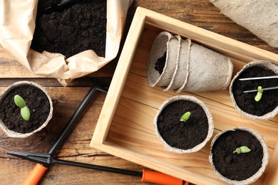 Flat lay composition with young seedlings on wooden table