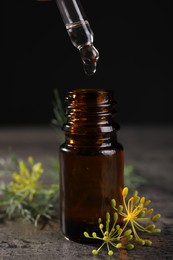 Dripping dill essential oil from pipette into bottle at grey table, closeup