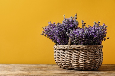 Photo of Basket with fresh lavender flowers on wooden table against yellow background. Space for text