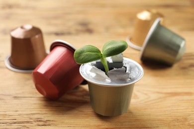 Coffee capsules and seedling on wooden table, closeup