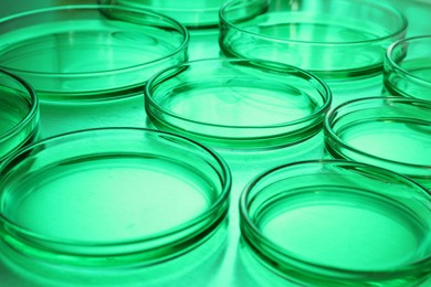 Photo of Petri dishes with samples on table, toned in green