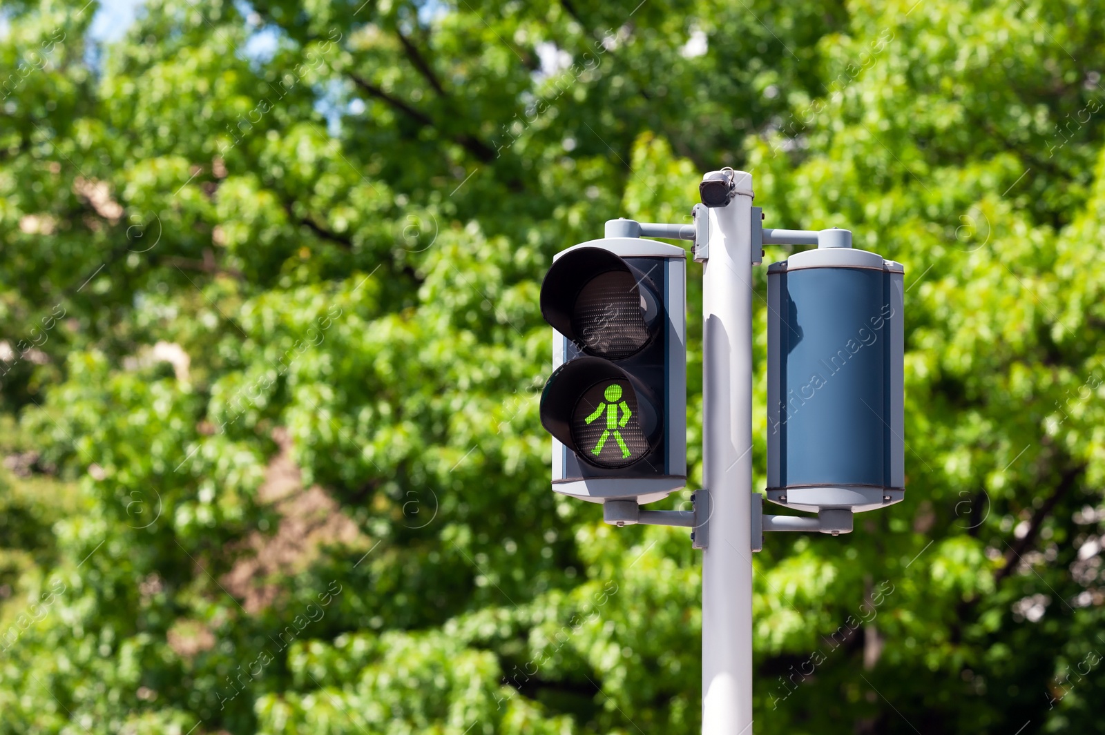 Photo of Pedestrian traffic light outdoors on sunny day, space for text