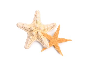 Photo of Beautiful sea stars (starfishes) isolated on white, top view