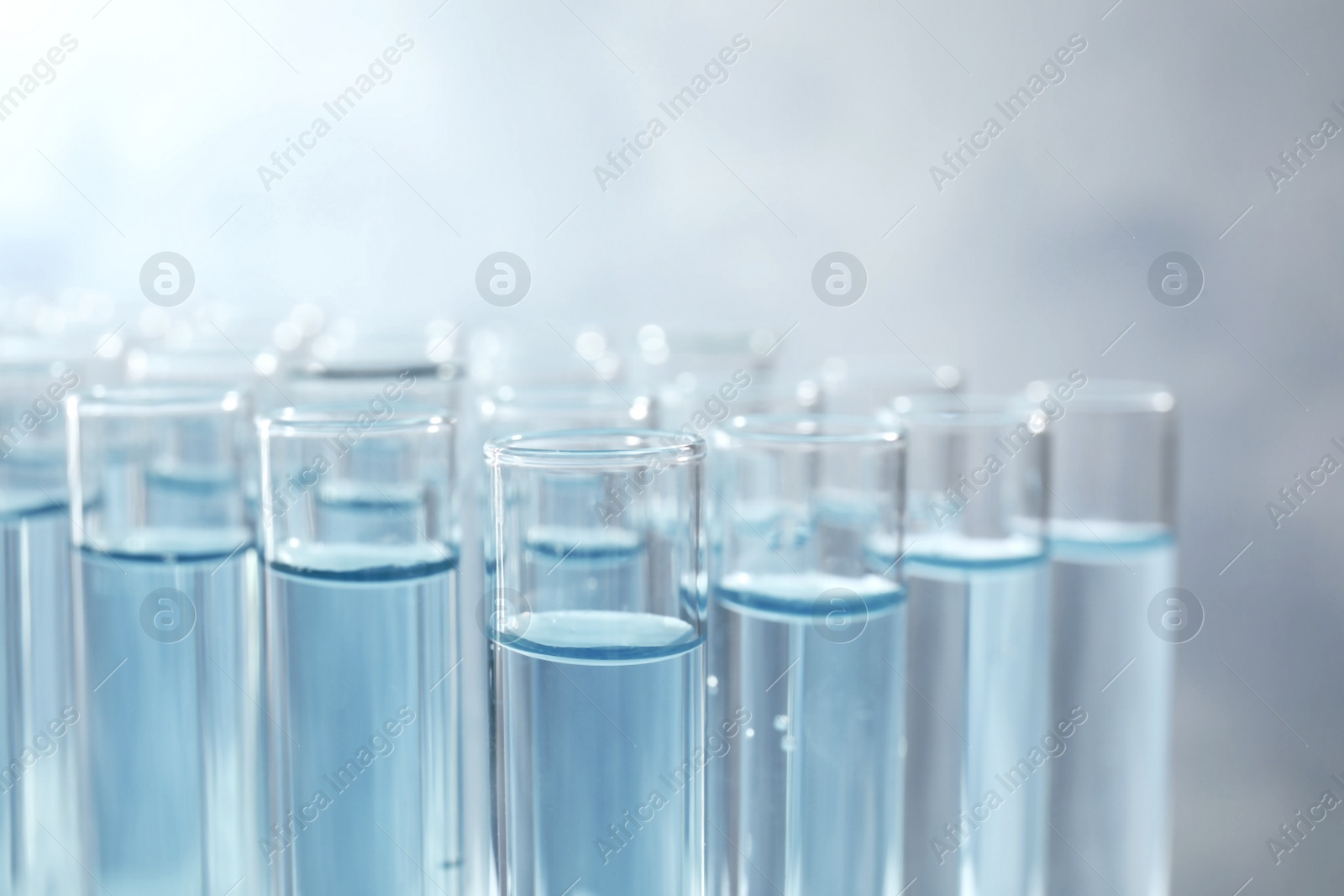 Photo of Many test tubes with light blue liquid on grey background, closeup