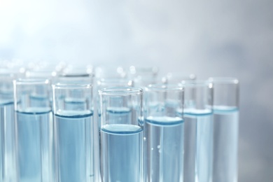 Photo of Many test tubes with light blue liquid on grey background, closeup