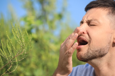 Man suffering from ragweed allergy outdoors, closeup