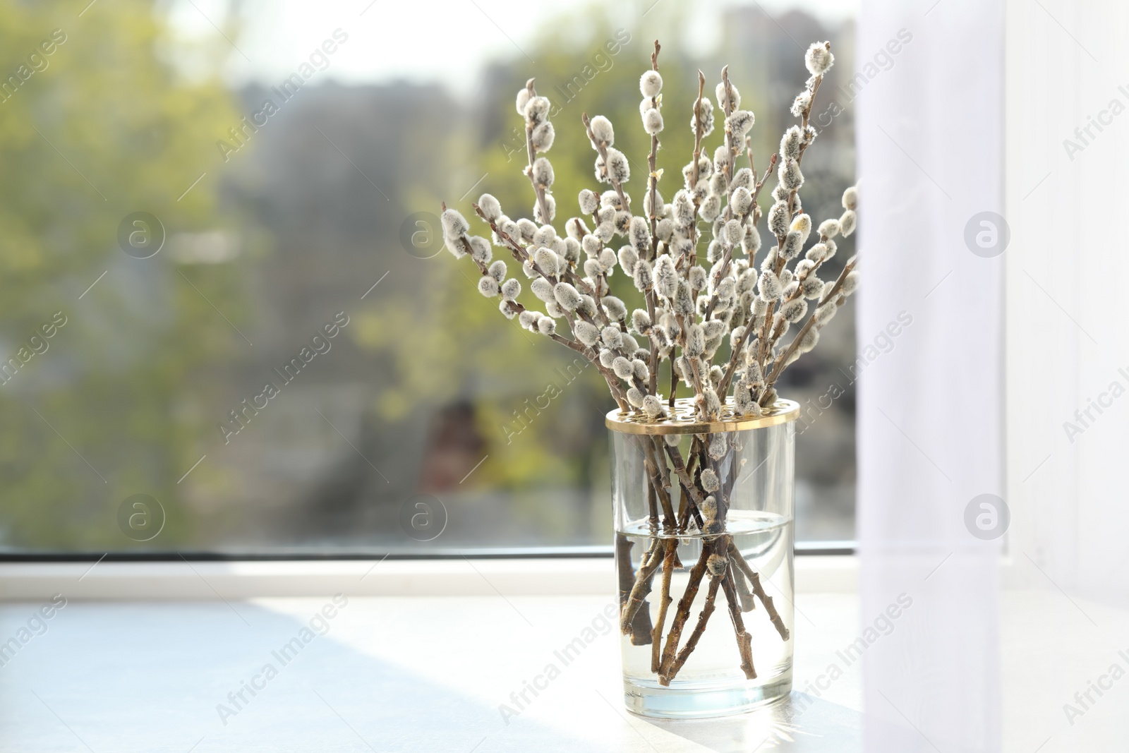 Photo of Beautiful pussy willow branches in glass vase on window sill indoors, space for text