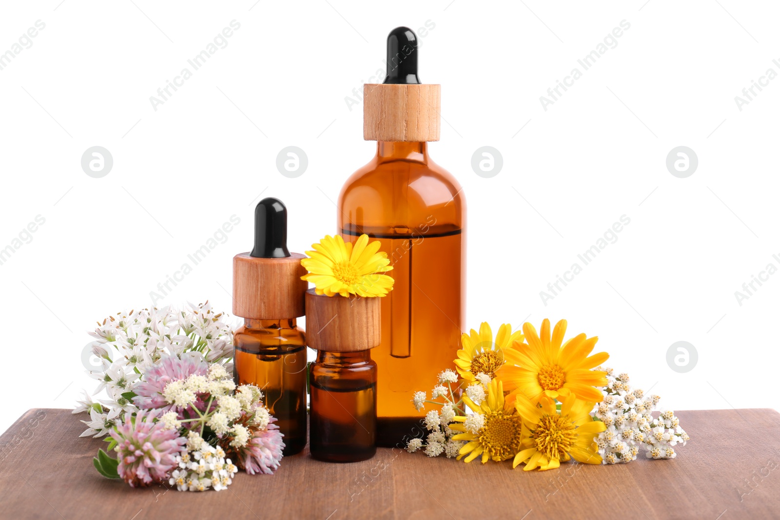 Photo of Bottles of essential oils and different wildflowers on wooden table against white background