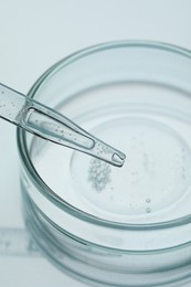 Photo of Glass pipette and petri dish with liquid on light background, closeup