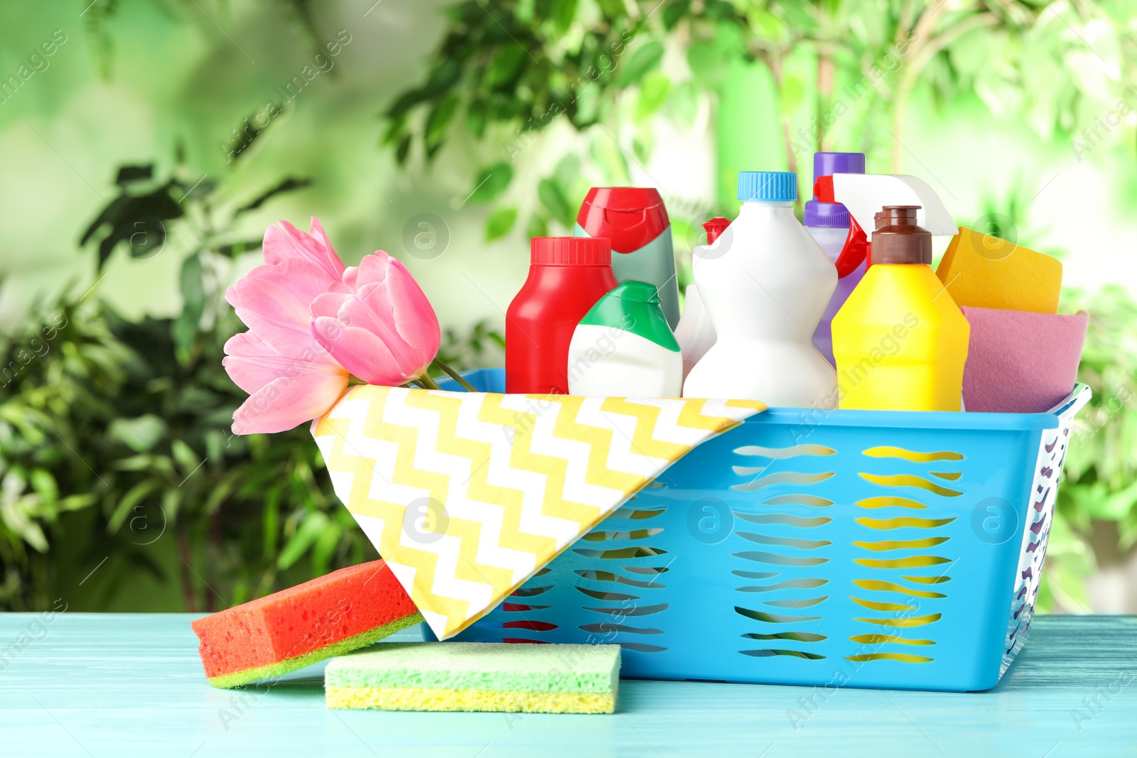 Photo of Plastic basket with spring flowers and cleaning supplies on light blue wooden table