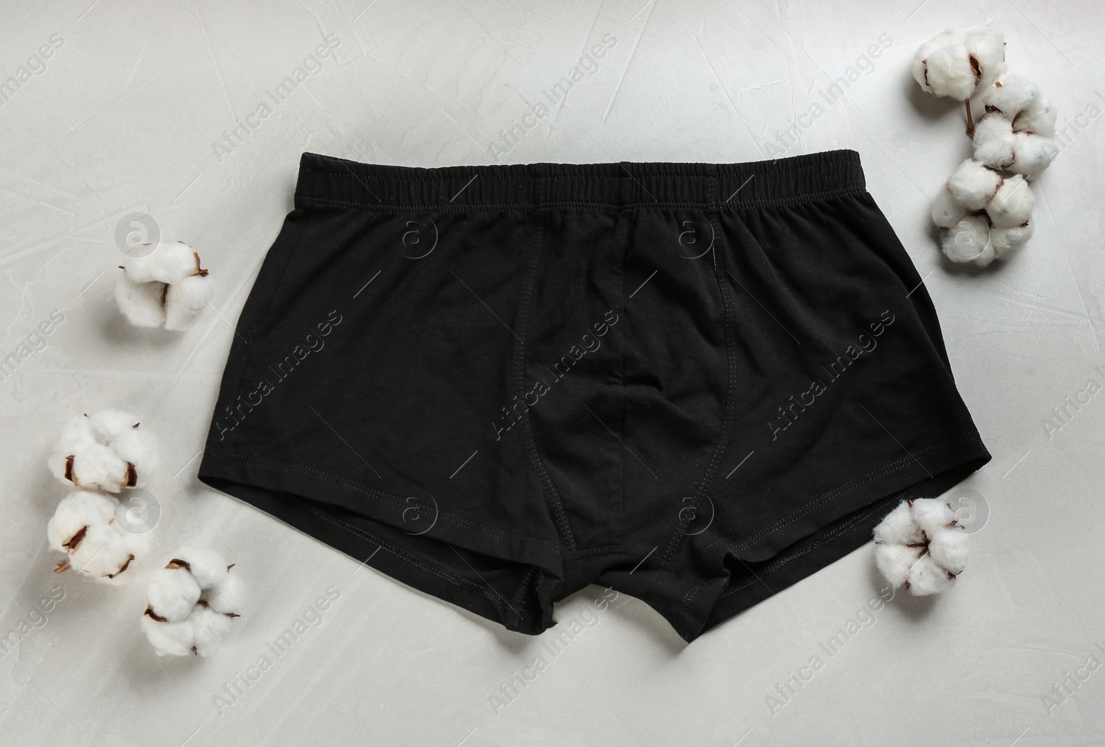 Photo of Men's underwear and cotton flowers on light background, flat lay