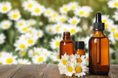 Bottles of essential oil and chamomile flowers on wooden table against blurred background. Space for text