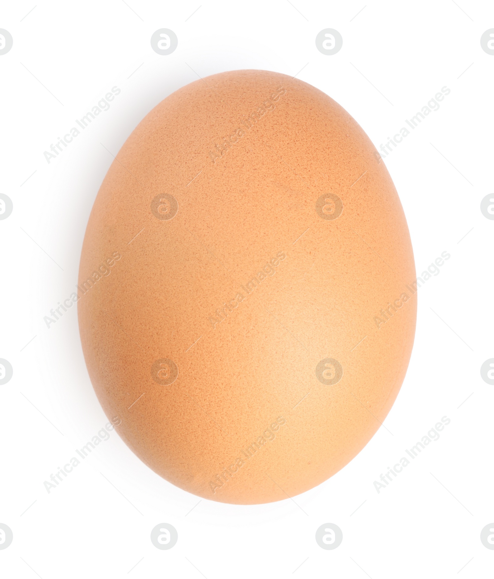 Photo of One raw chicken egg isolated on white, top view