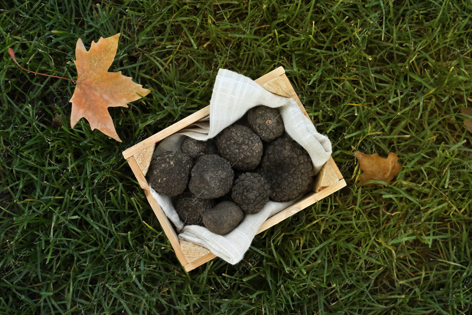 Photo of Truffles in wooden crate on green grass, top view