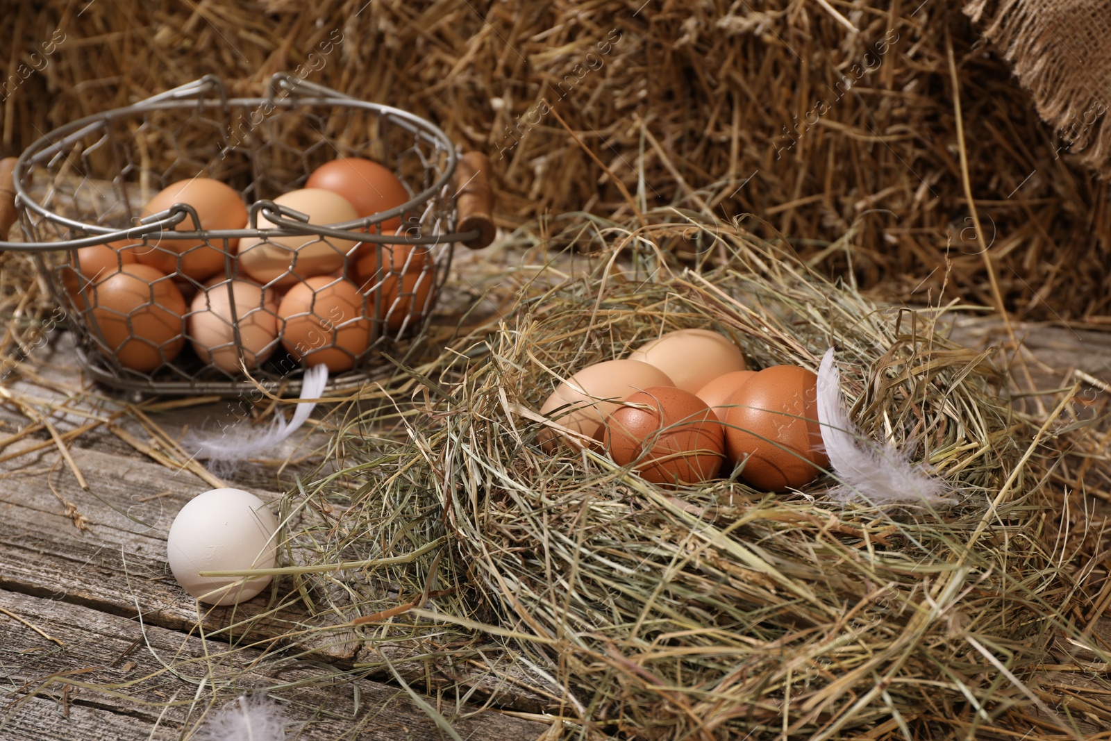 Photo of Fresh chicken eggs and dried straw bale in henhouse