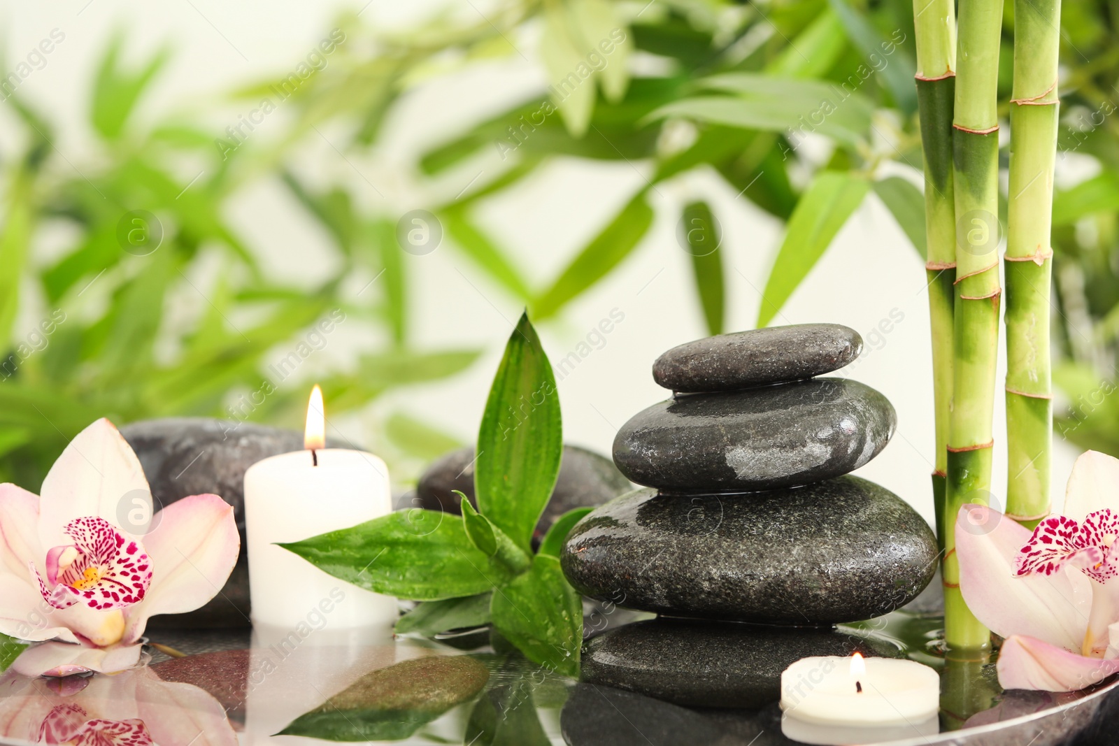 Photo of Bamboo leaves with spa stones and candles in water. Space for text