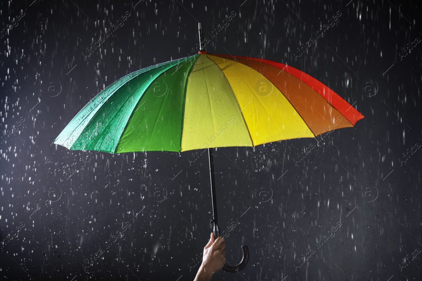 Photo of Woman holding bright umbrella under rain on dark background, closeup