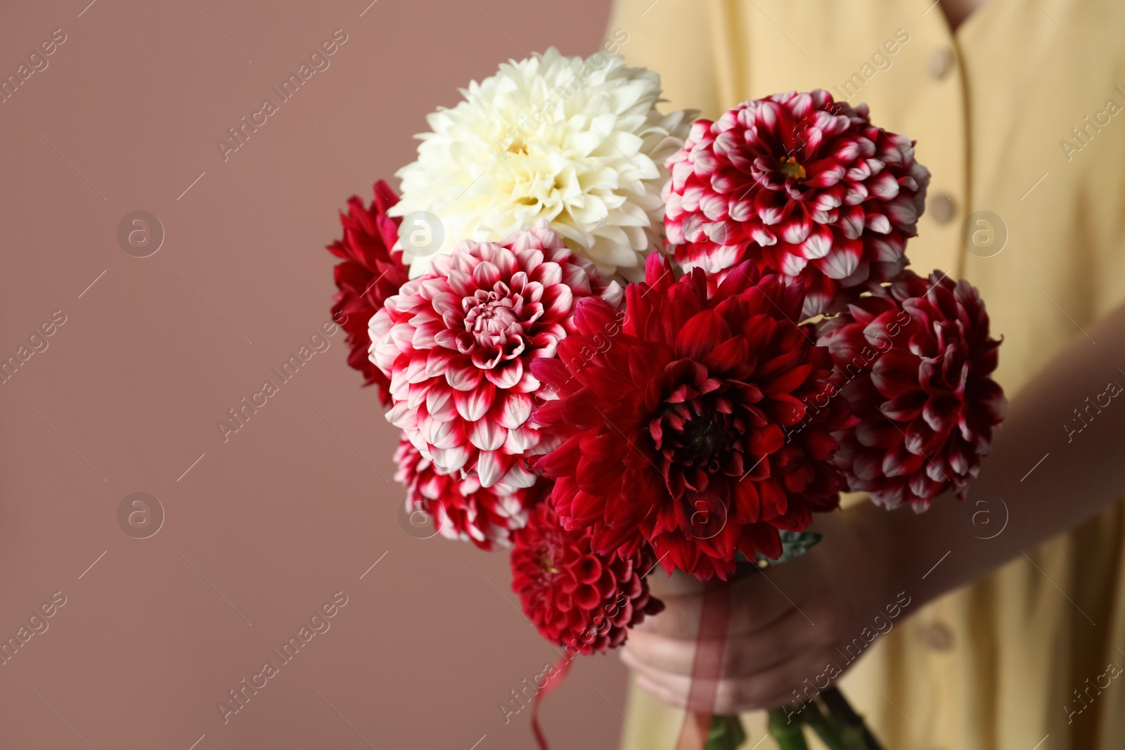 Photo of Woman with bouquet of beautiful dahlia flowers on brown background, closeup