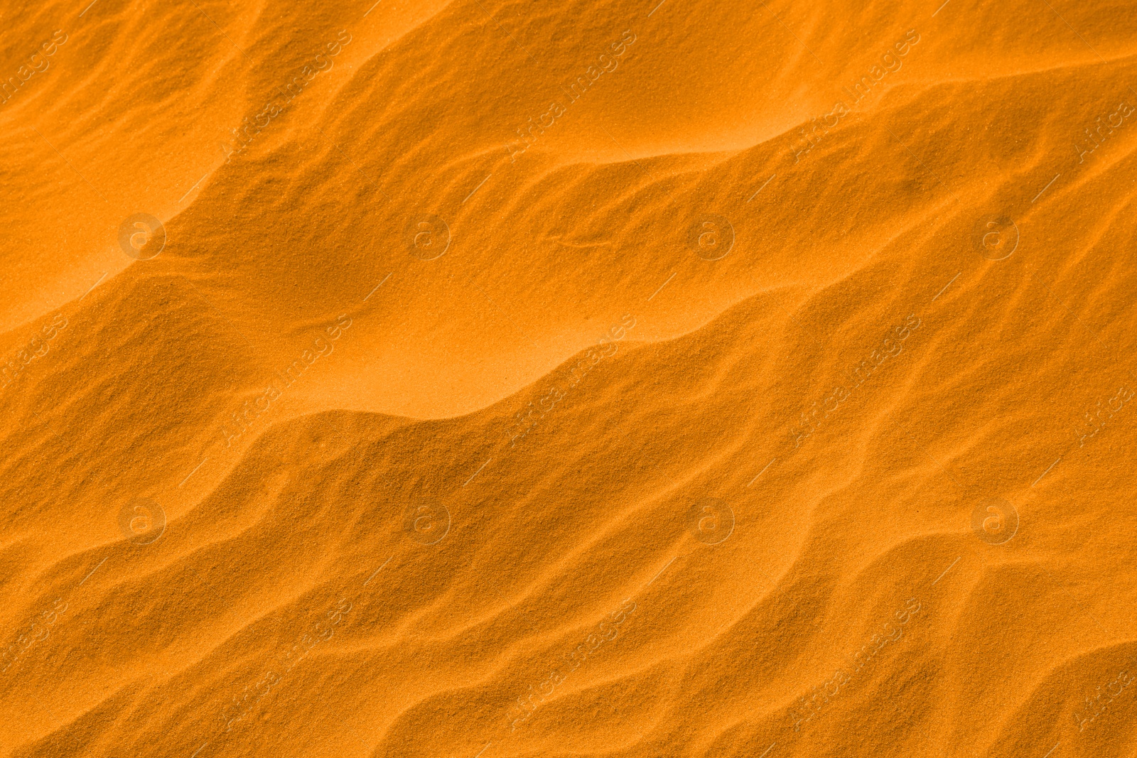 Image of Closeup view of sand dune in desert as background