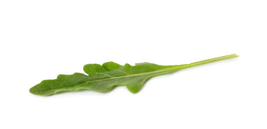 Leaf of fresh arugula isolated on white